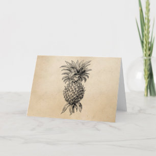 Vintage 1800s Pineapple Illustration Pineapples Card