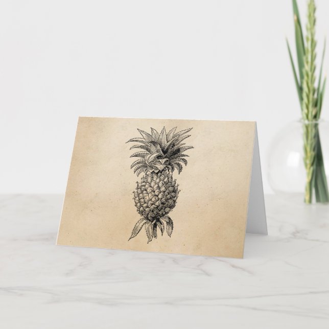 Vintage 1800s Pineapple Illustration Pineapples Card (Front)
