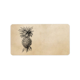 Vintage 1800s Pineapple Illustration Pineapples Label