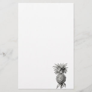 Vintage 1800s Pineapple Illustration Pineapples Stationery
