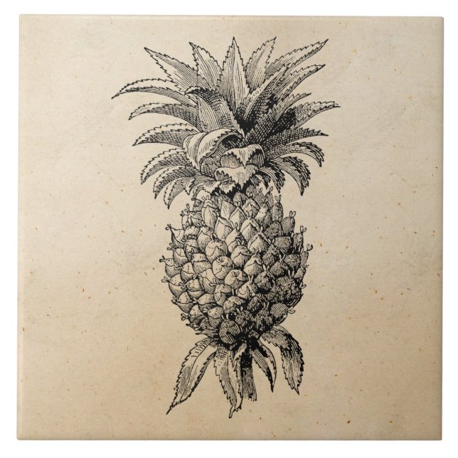 Vintage 1800s Pineapple Illustration Pineapples Tile (Front)