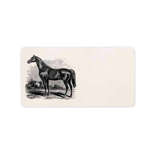 Vintage 1800s Race Horse Retro Thoroughbred Horses Address Label