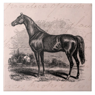 Vintage 1800s Race Horse Retro Thoroughbred Horses Tile