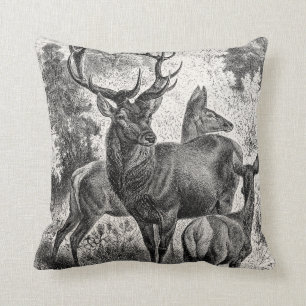 Vintage 1800s Red Deer Illustration Stag Doe Fawn Cushion