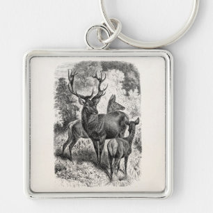Vintage 1800s Red Deer Illustration Stag Doe Fawn Key Ring