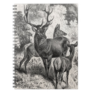 Vintage 1800s Red Deer Illustration Stag Doe Fawn Notebook