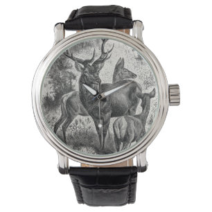 Vintage 1800s Red Deer Illustration Stag Doe Fawn Watch