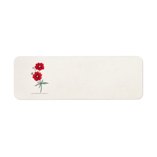 Vintage 1800s Red Flower Potentilla Cinquefoil Return Address Label