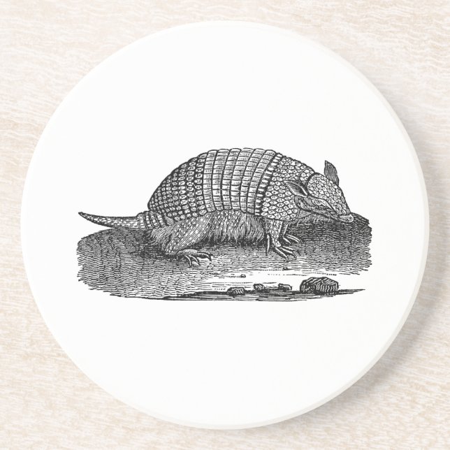 Vintage 1800s Retro Armadillo Antique Armadillos Coaster (Front)