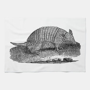 Vintage 1800s Retro Armadillo Antique Armadillos Tea Towel