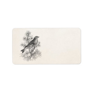 Vintage 1800s Rose Linnet Song Bird Finch Birds Label