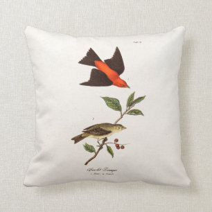 Vintage 1800s Scarlet Tanager Bird Songbird Birds Cushion