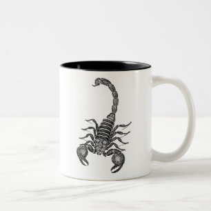 Vintage 1800s Scorpion Illustration - Scorpions Two-Tone Coffee Mug