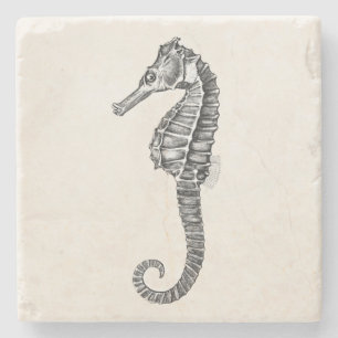 Vintage 1800s Sea Horse Ocean Seahorse Template Stone Coaster