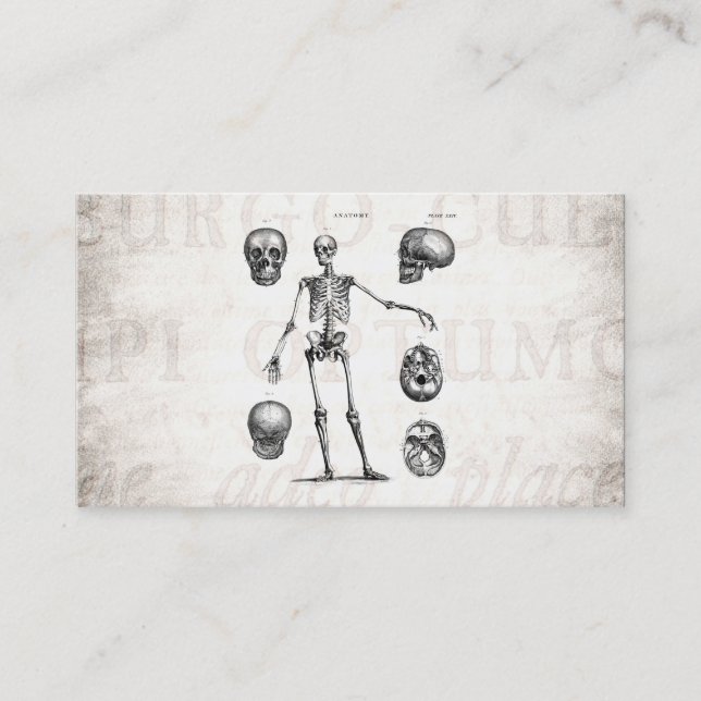 Vintage 1800s Skeleton Antique Anatomy Skeletons Business Card (Front)