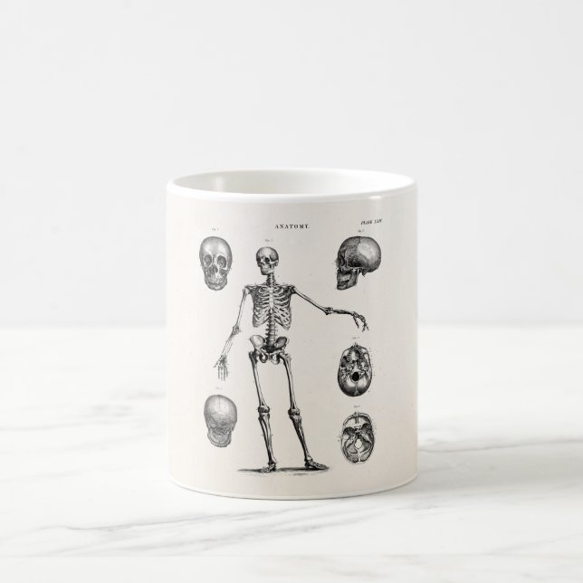 Vintage 1800s Skeleton Antique Anatomy Skeletons Coffee Mug (Center)