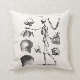Vintage 1800s Skeleton Antique Anatomy Skeletons Cushion