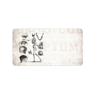 Vintage 1800s Skeleton Antique Anatomy Skeletons Label