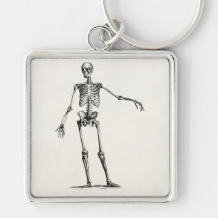 Vintage 1800s Skeleton Retro Anatomy Skeletons Key Ring