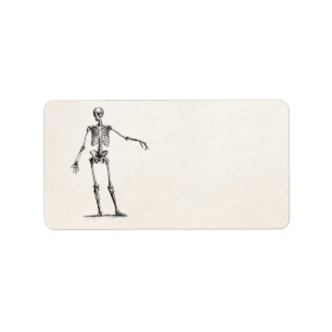 Vintage 1800s Skeleton Retro Anatomy Skeletons Label