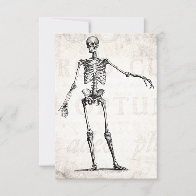 Vintage 1800s Skeleton Retro Skeletons Anatomy (Front)