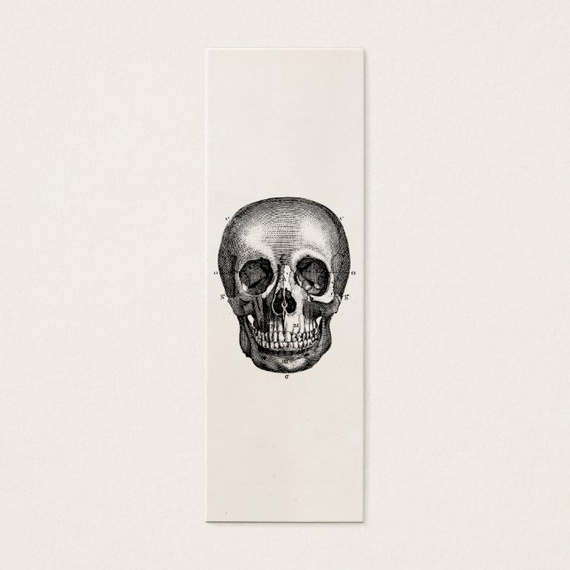 Vintage 1800s Skull Retro Skulls Skeleton (Front)
