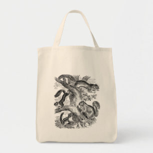 Vintage 1800s Squirrel Illustration - Squirrels Tote Bag