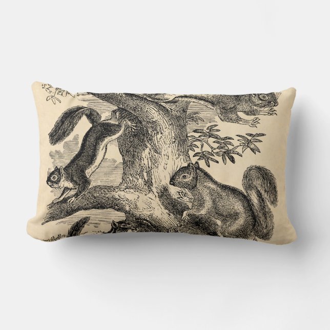 Vintage 1800s Squirrels Illustration - Squirrel Lumbar Cushion (Front)