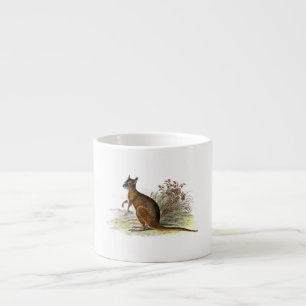 Vintage 1800s Wallaby Illustration Kangaroo Espresso Cup