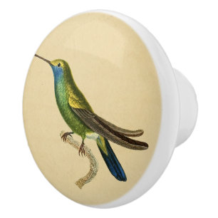 Vintage 1830 Hummingbird Drawer Knob