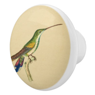 Vintage 1830 Hummingbird Drawer Knob