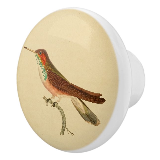 Vintage 1830 Hummingbird Drawer Knob (Right)