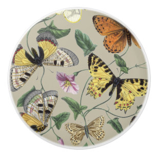 Vintage 1842 Butterfly Moth Botanical Floral Art Ceramic Knob