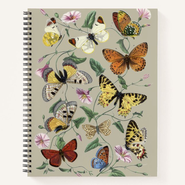 Vintage 1842 Butterfly Moth Botanical Floral Art Notebook (Front)
