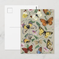 Vintage 1842 Butterfly Moth Botanical Floral Art