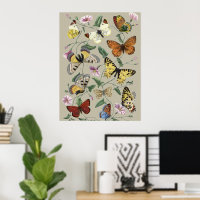 Vintage 1842 Butterfly Moth Botanical Floral Art