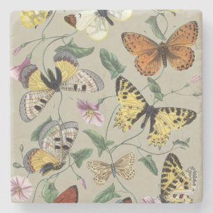 Vintage 1842 Butterfly Moth Botanical Floral Art Stone Coaster