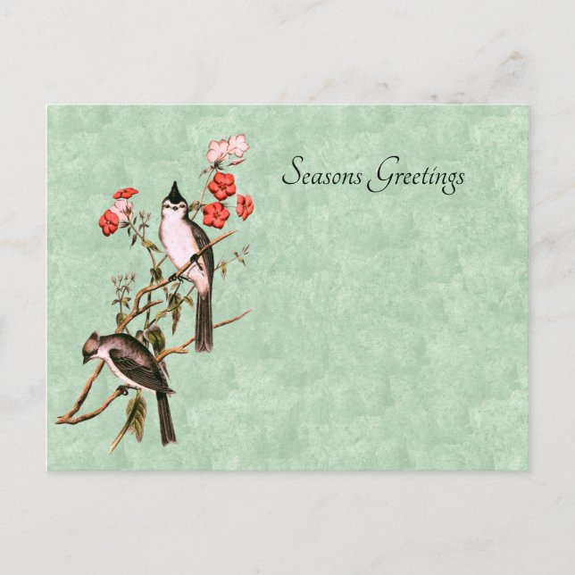 Vintage 1860's Black-Crested Titmouse Pair Holiday Postcard (Front)