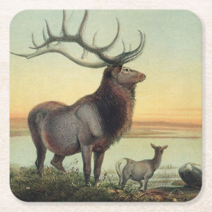 Vintage 1861 Book Illustration Wapiti Deer Square Paper Coaster