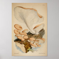 Vintage 1863 Brown White Log Mushrooms Art Print