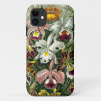 Vintage 1865 Botanical Orchids Illustration