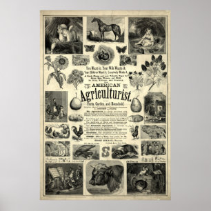 Vintage 1866 The American Agriculturist Poster