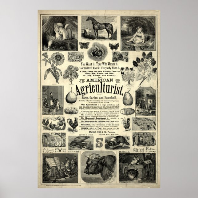 Vintage 1866 The American Agriculturist Poster (Front)