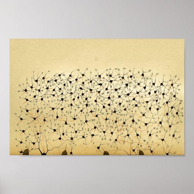 Vintage 1886 Central Nervous System Nerves Poster (Front)