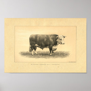 Vintage 1888 Bull Print