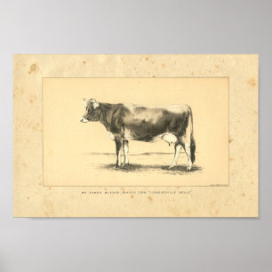 Vintage 1888 Jersey Cow Print