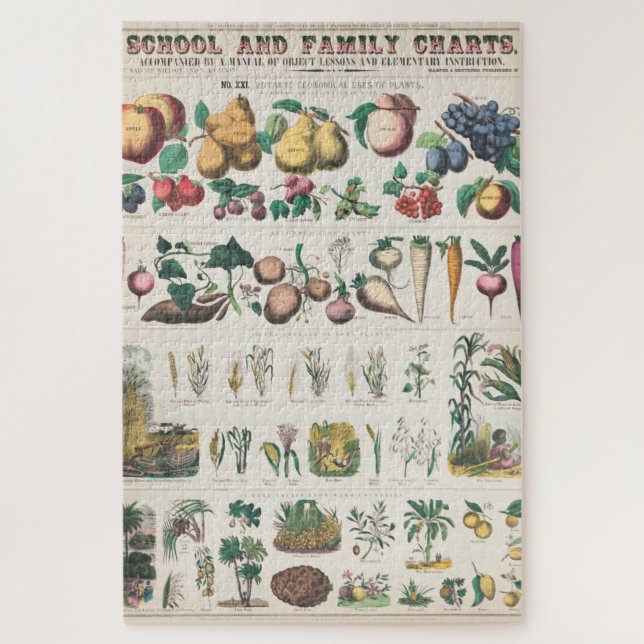 Vintage 1890 School Botanical Education Chart Jigsaw Puzzle (Vertical)