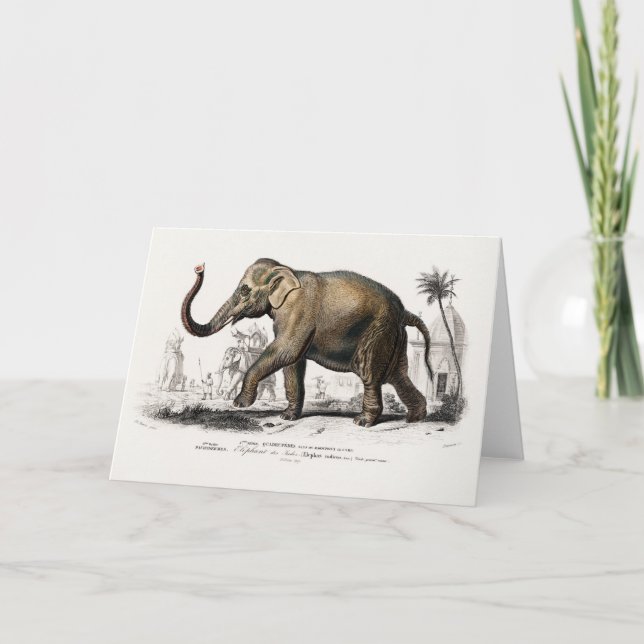 Vintage 1892 Asiatic Elephant Illustration Card (Front)