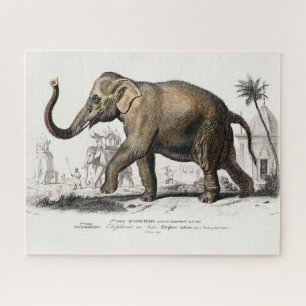 Vintage 1892 Asiatic Elephant Illustration Jigsaw Puzzle
