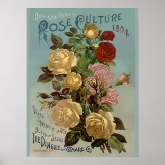 Vintage 1894 Guide to Rose Culture Poster